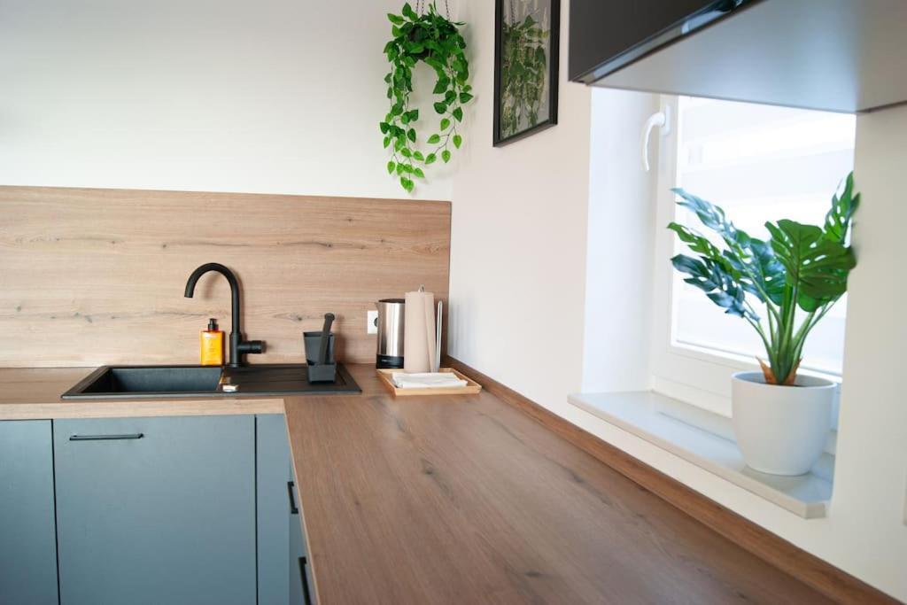 Studio Apartment Marbach Marbach am Neckar Dış mekan fotoğraf